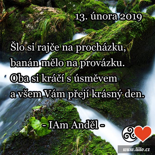 13. února 2019