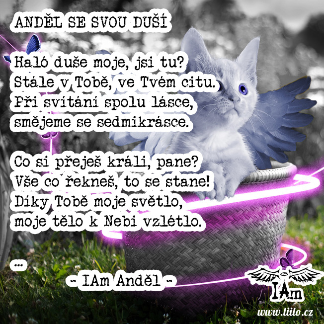 Anděl se svou duší
