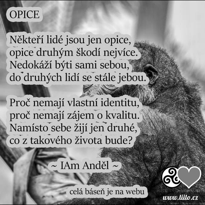 Opice
