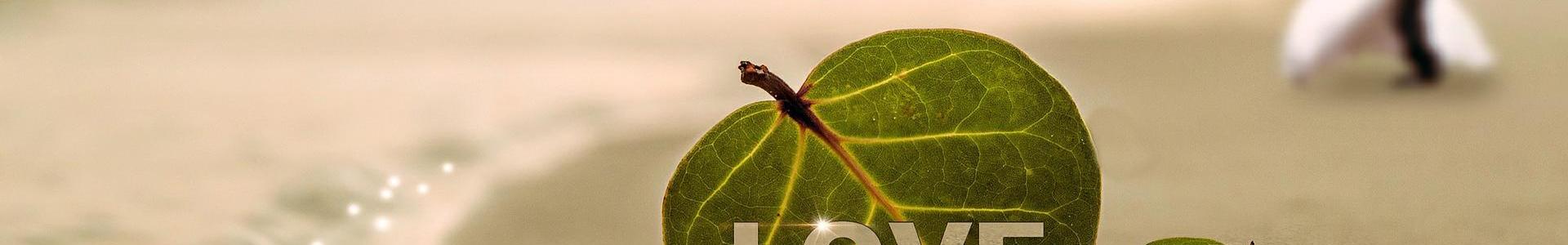 Proč Život v Lásce - Life in Love