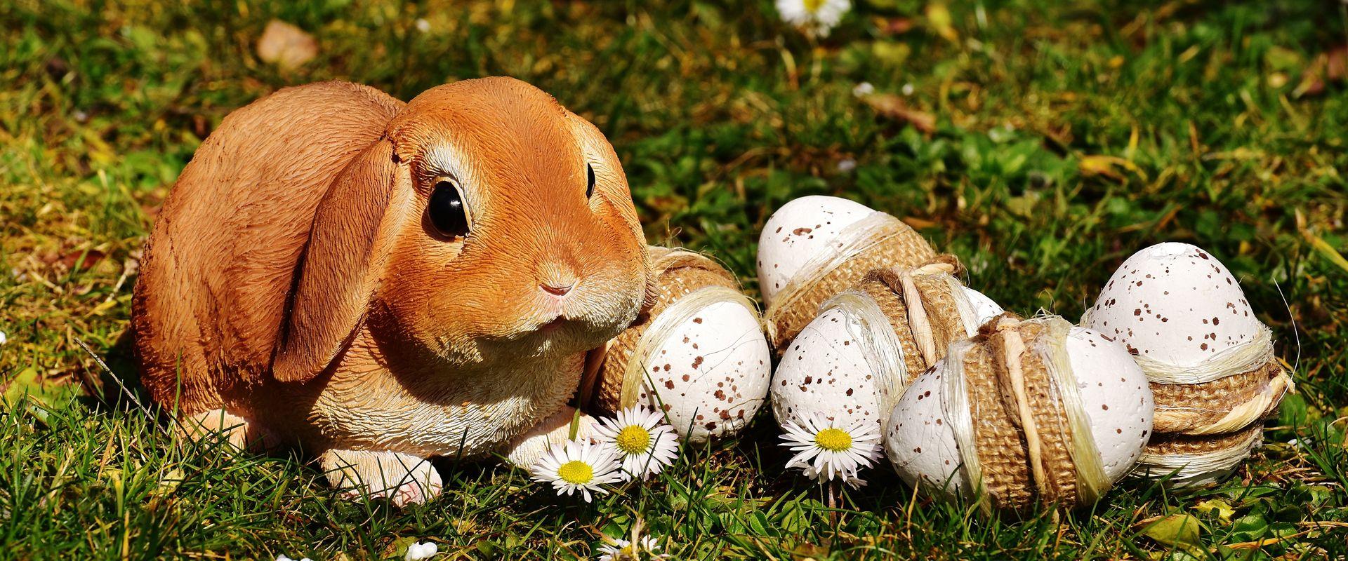 Velikonoční báseň na přání