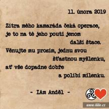 11. února 2019